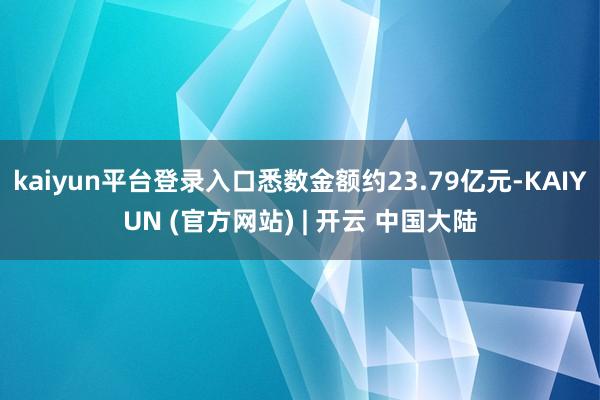 kaiyun平台登录入口悉数金额约23.79亿元-KAIYUN (官方网站) | 开云 中国大陆
