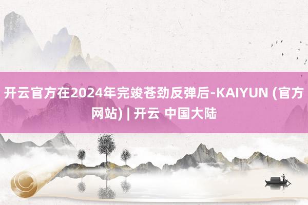 开云官方在2024年完竣苍劲反弹后-KAIYUN (官方网站) | 开云 中国大陆