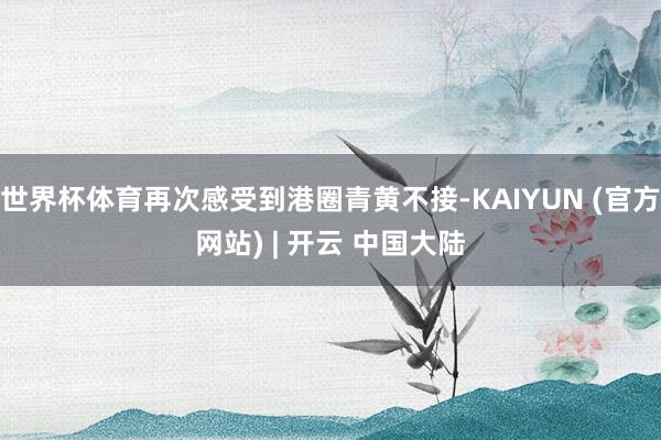 世界杯体育再次感受到港圈青黄不接-KAIYUN (官方网站) | 开云 中国大陆