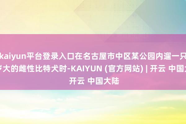 kaiyun平台登录入口在名古屋市中区某公园内遛一只两岁大的雌性比特犬时-KAIYUN (官方网站) | 开云 中国大陆