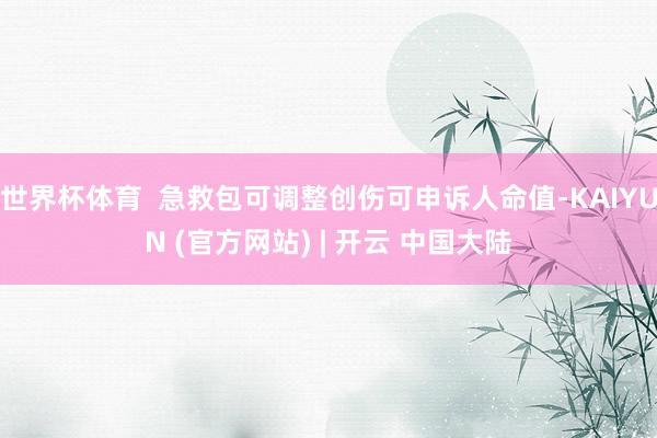 世界杯体育  急救包可调整创伤可申诉人命值-KAIYUN (官方网站) | 开云 中国大陆