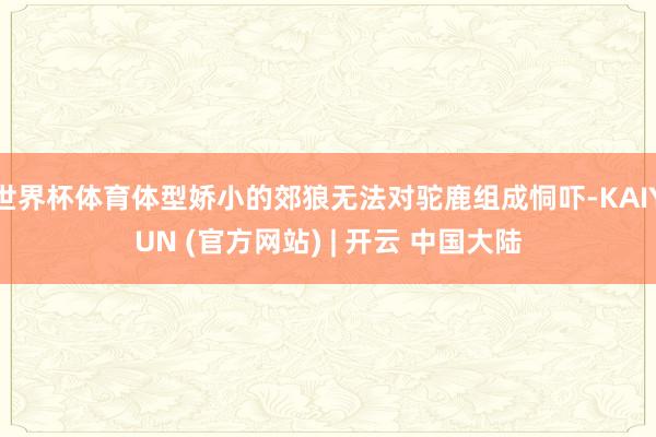 世界杯体育体型娇小的郊狼无法对驼鹿组成恫吓-KAIYUN (官方网站) | 开云 中国大陆