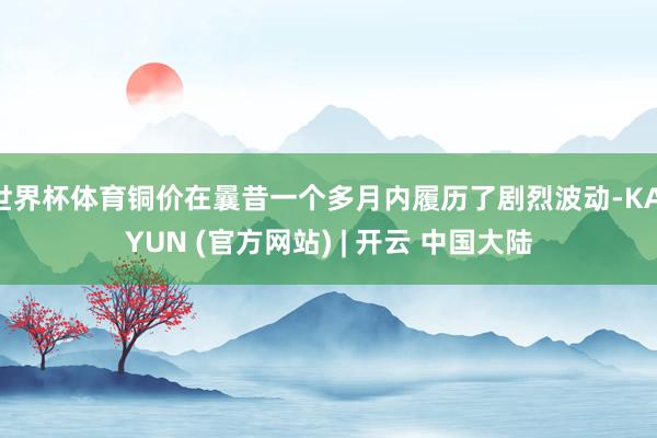 世界杯体育铜价在曩昔一个多月内履历了剧烈波动-KAIYUN (官方网站) | 开云 中国大陆